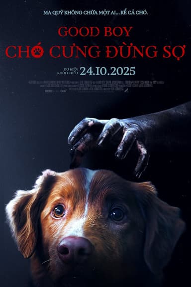 Chó Cưng Đừng Sợ